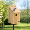 Eastern bluebird perched on a natural wood bluebird house mounted on a post