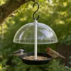 Chickadee and house finch feeding from a clear dome hanging platform bird feeder