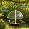 Clear dome platform bird feeder protecting seed while small backyard birds feed