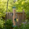 Chickadee and goldfinch feeding from a green six-port tube bird feeder in a backyard