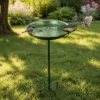 Ground-stake bird bath with water and separate seed cup in a backyard