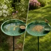 Decorative green basin used as a bird bath and as an open platform feeder