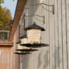Black hopper bird feeders hanging from wall hooks in a sunny backyard setting