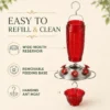 Glass hummingbird feeder with wide mouth reservoir, removable base, and hanging ant moat