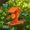 Hanging oriole feeder with orange holders and two jelly cups for fruit and jelly feeding