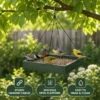 Hanging platform bird feeder with stable cables, roomy tray, and removable mesh floor