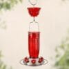 PerchKind 16 oz red glass hummingbird feeder with six feeding ports and ant moat