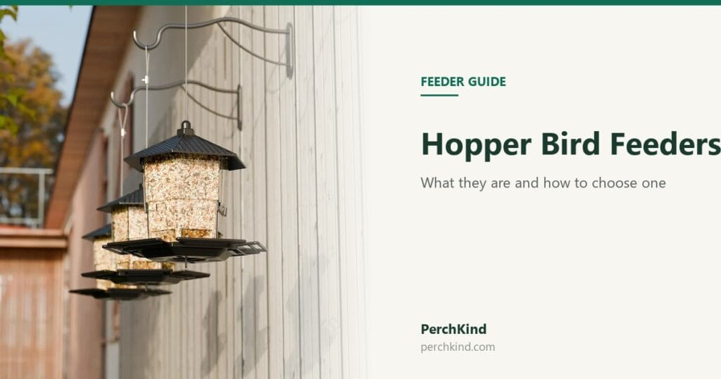 Hopper Bird Feeders: What They Are and How to Choose One (2026)
