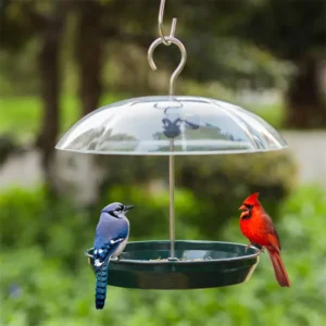 Hanging Seed Tray Feeder with Adjustable Clear Dome