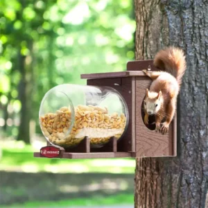 Squirrel Feeding Shelter with Horizontal Jar