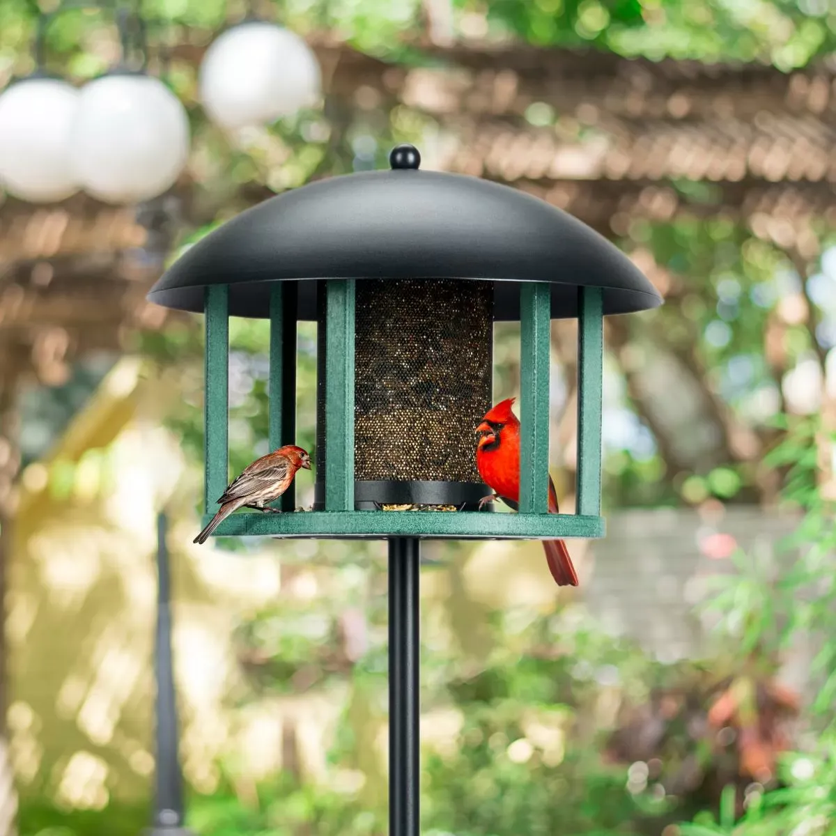 Dome-Top Hanging Tray Bird Feeder