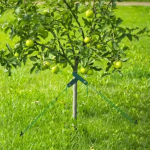 Tree Anchoring Stake Kit with Ties