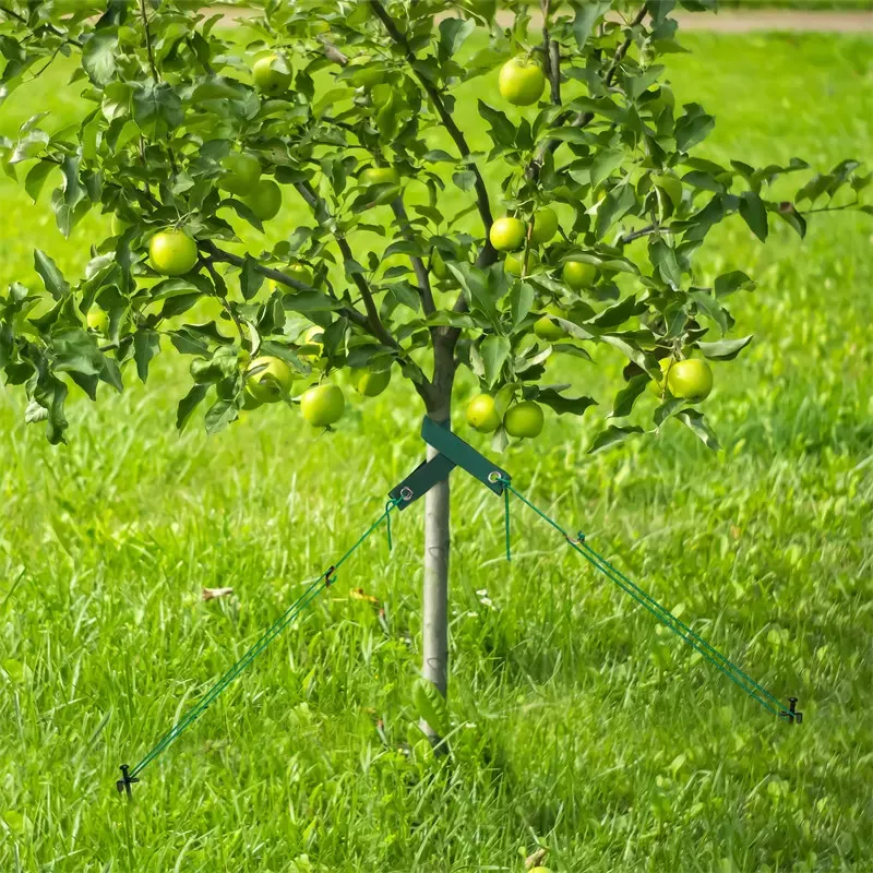 Tree Anchoring Stake Kit with Ties