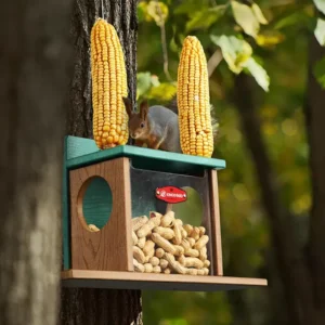 Squirrel Feeding Box with Twin Corn Holders