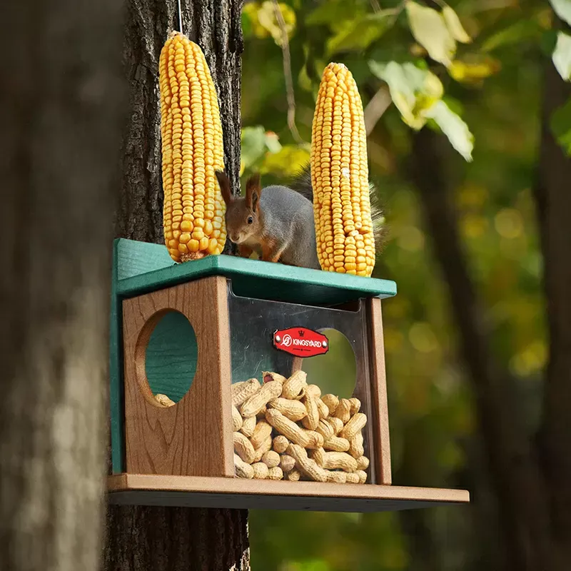 Squirrel Feeding Box with Twin Corn Holders
