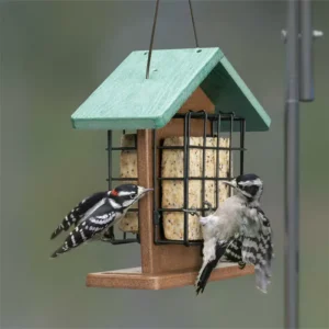 Twin-Sided Suet Feeder with Pitched Roof