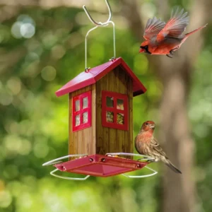 House-Style Seed Feeder with Wraparound Perch