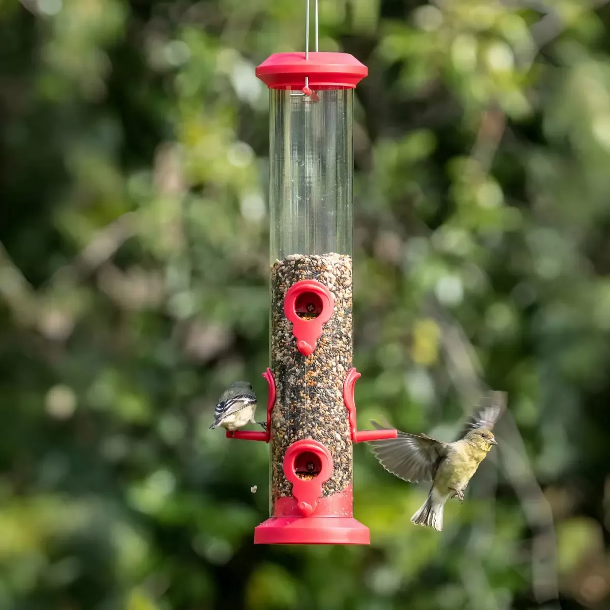 Hanging Tube Feeders with Round Feeding Ports