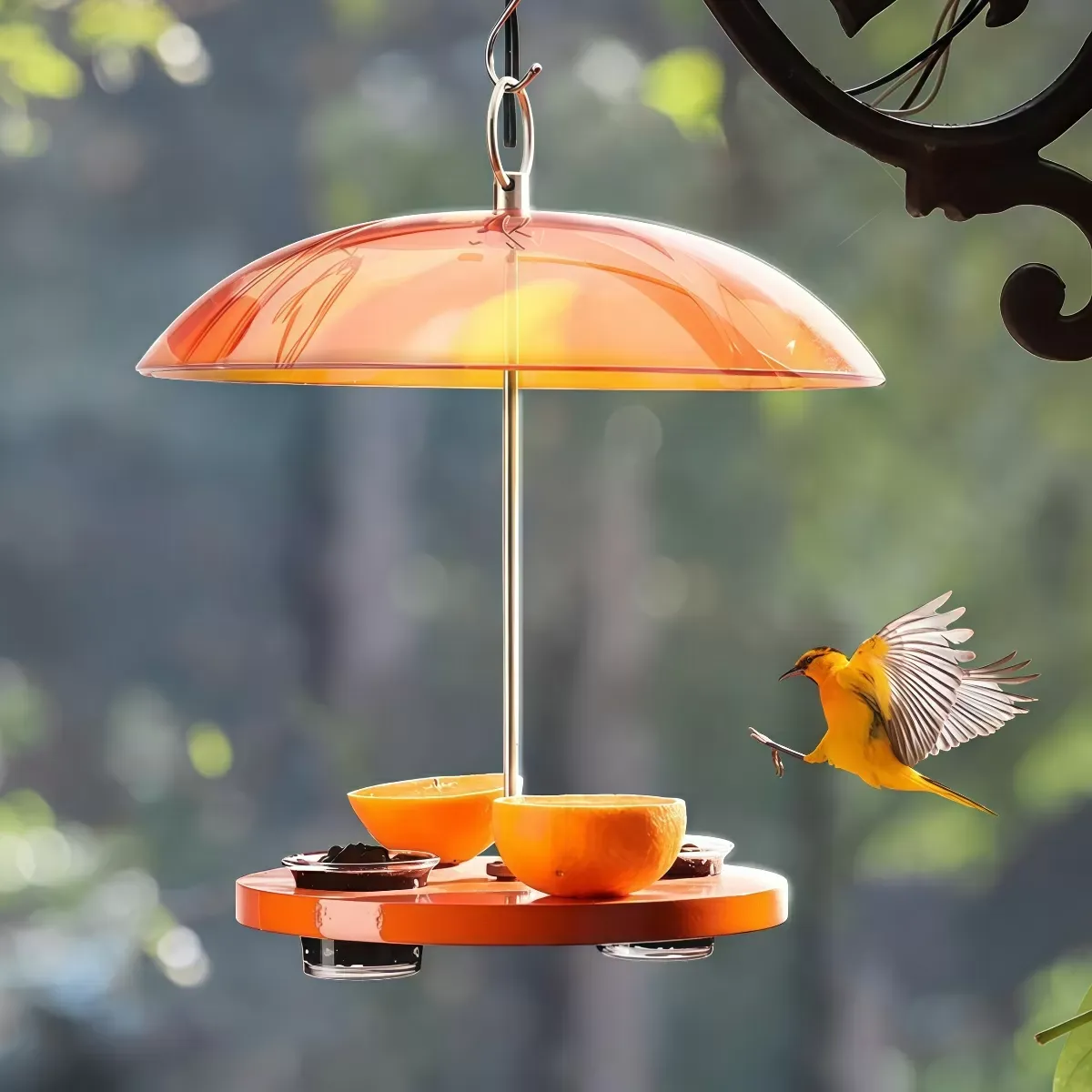 Domed Oriole Feeding Station with Jelly Cups