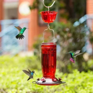 Fluted Glass Nectar Feeder with Hanging Ant Moat