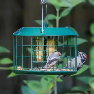 Outer-Cage Suet Feeder with Covered Top