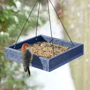Square Hanging Bird Feeder with Mesh Floor