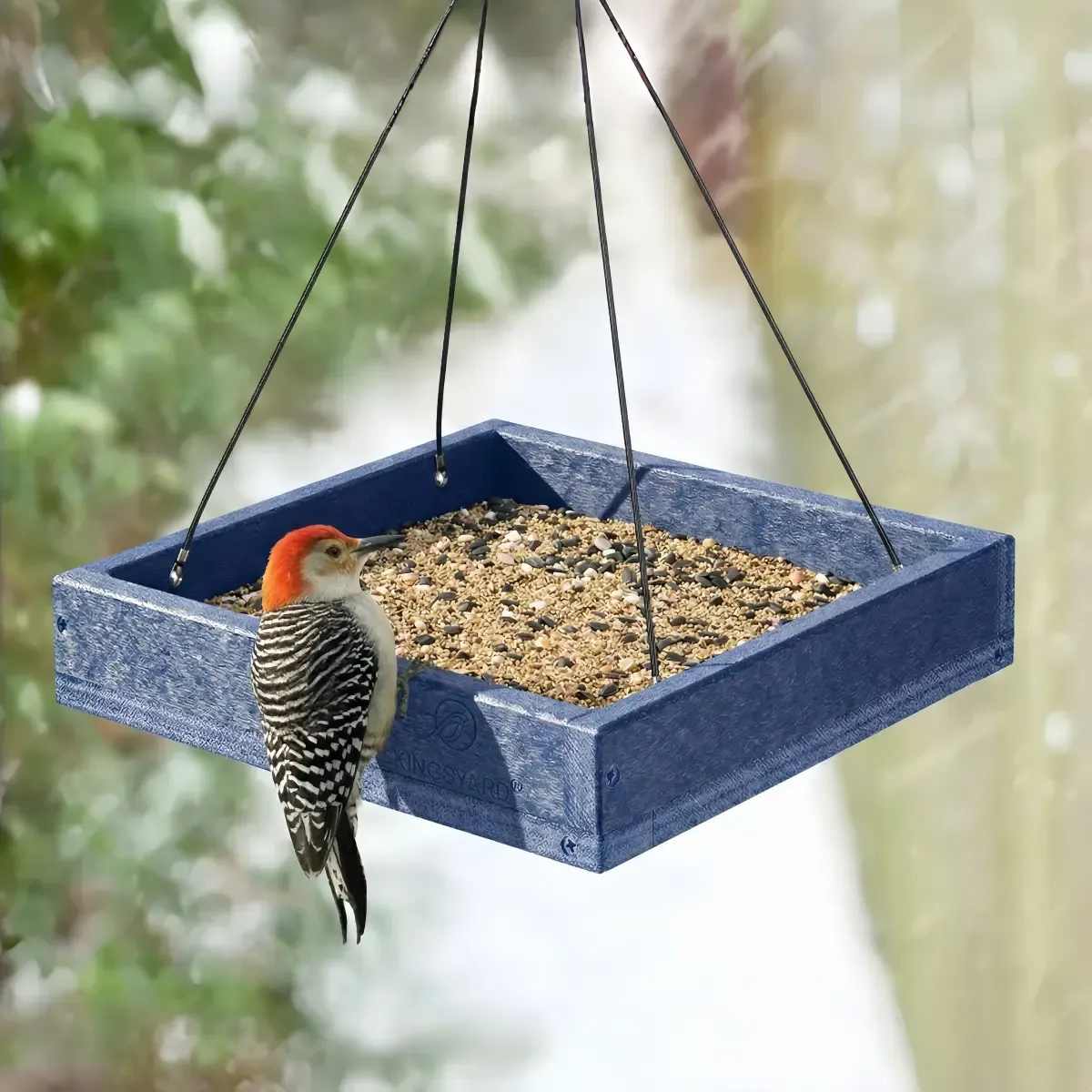 Square Hanging Bird Feeder with Mesh Floor