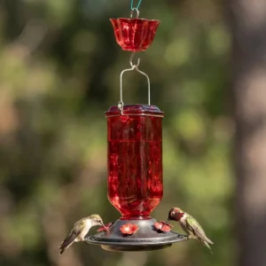 Faceted Cylinder Glass Hummingbird Feeder