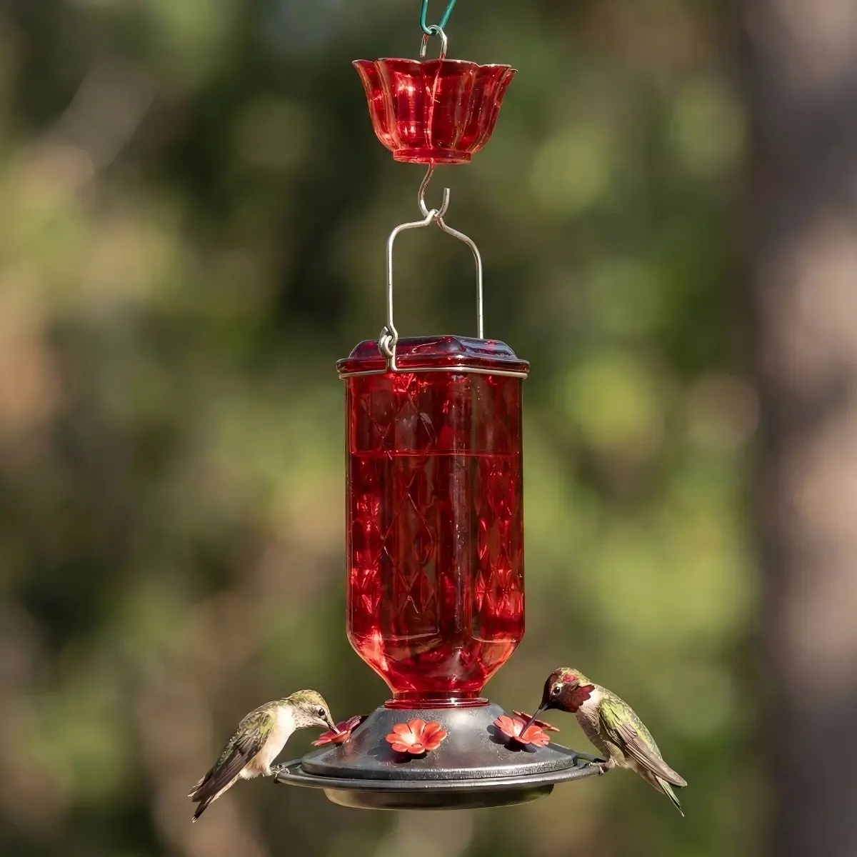 Faceted Cylinder Glass Hummingbird Feeder