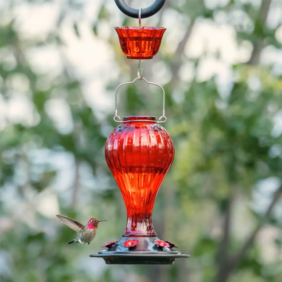 Ribbed Teardrop Glass Hummingbird Feeder