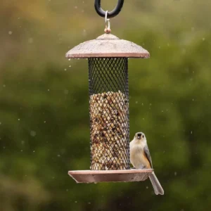 Wide-Mesh Hanging Feeder with Circular Tray