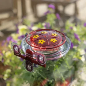 Suction-Mount Window Nectar Feeder