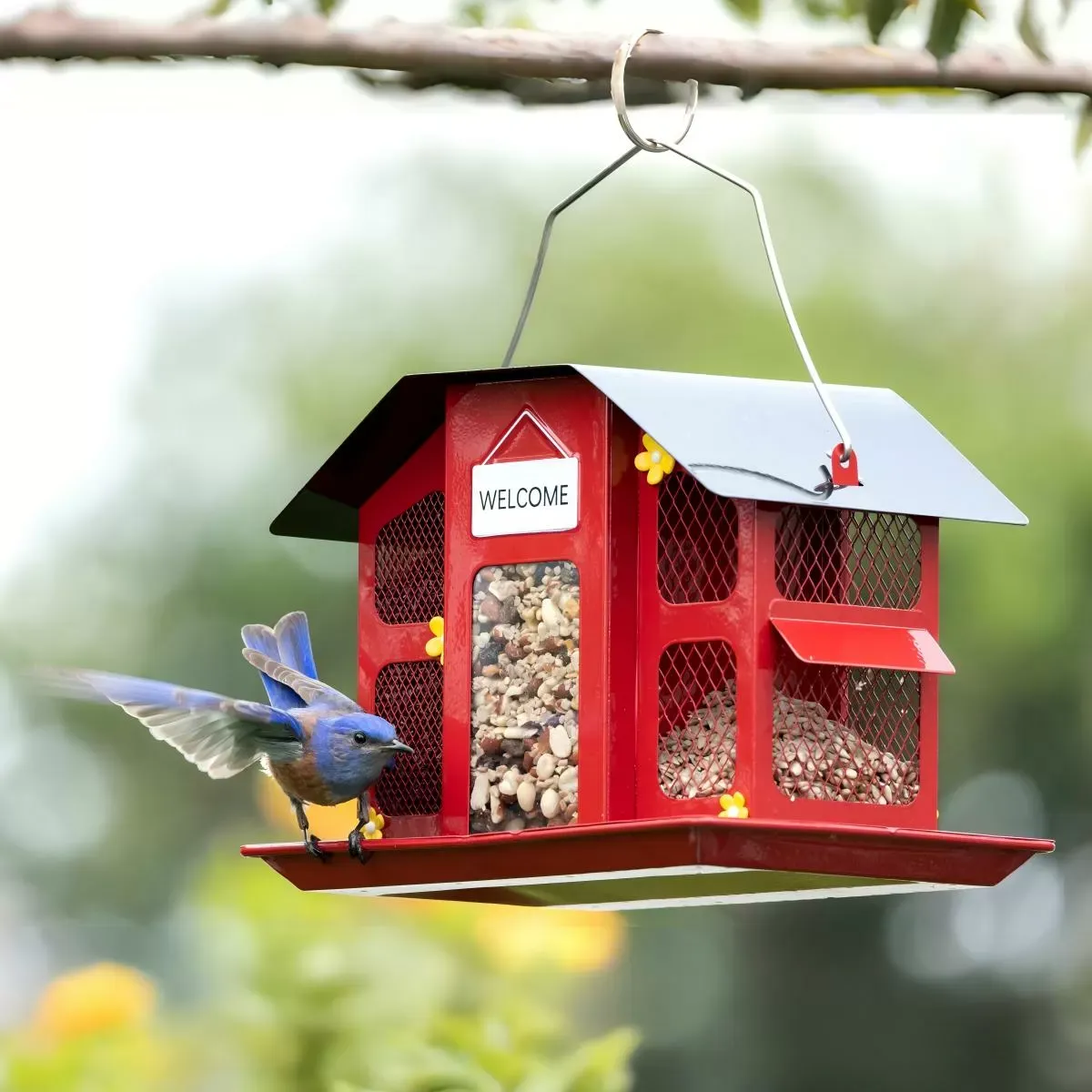House-Style Mesh Seed Feeder with Side Ledges