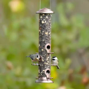 Slim Tube Bird Feeder with Individual Perches
