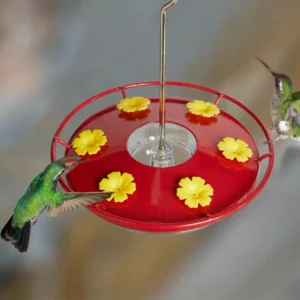 Saucer-Style Hummingbird Feeder with Raised Perch