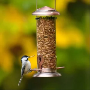 Perch-Port Tube Feeder for Mealworms