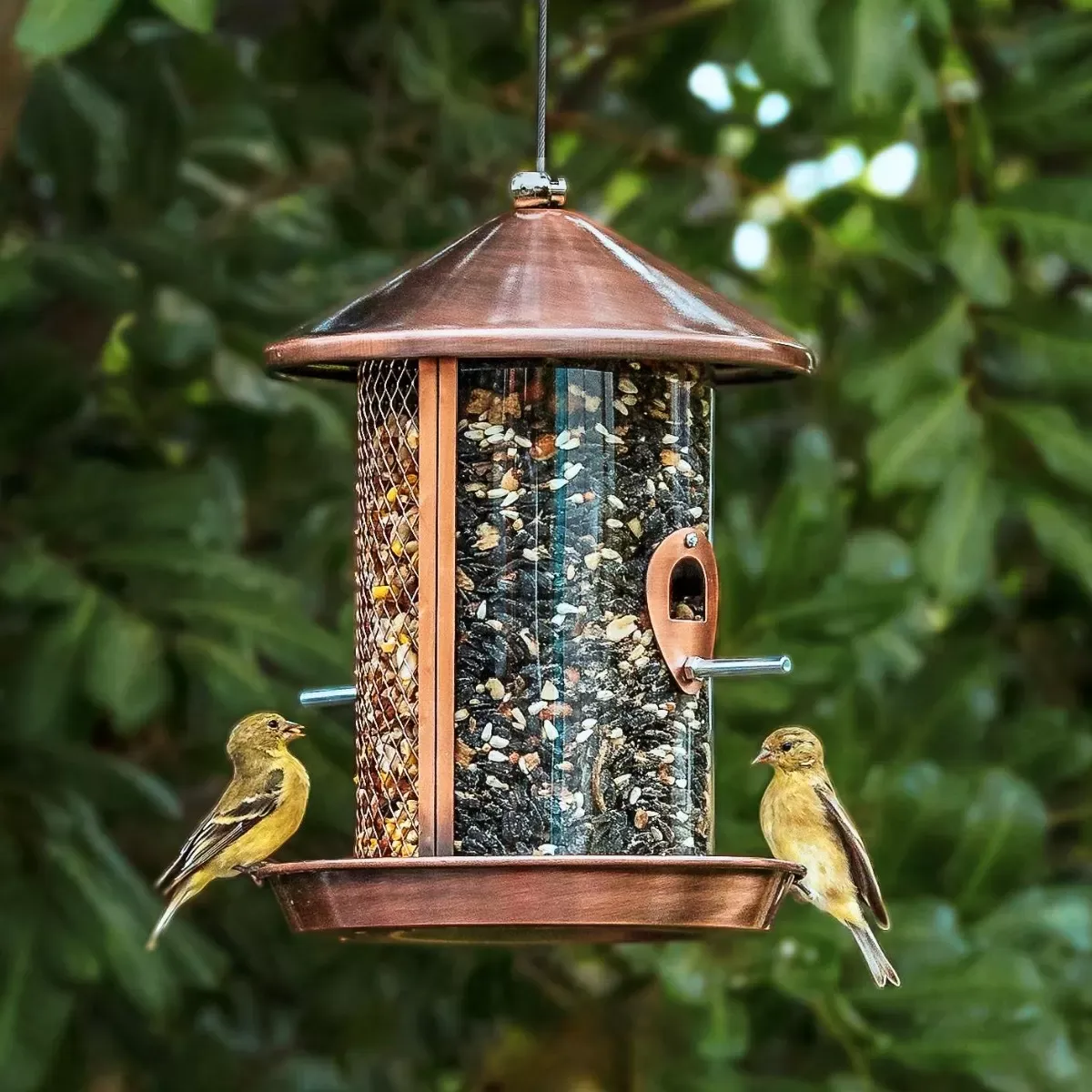 Split-Reservoir Bird Feeder with Mesh Side