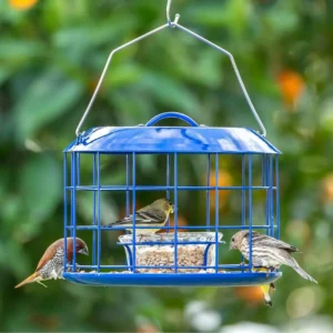 Round Caged Bird Feeder with Serving Cup