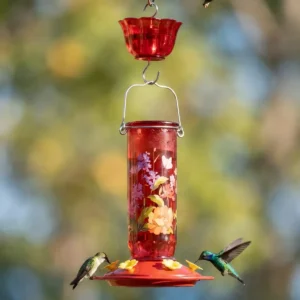 Floral Cylinder Glass Hummingbird Feeder