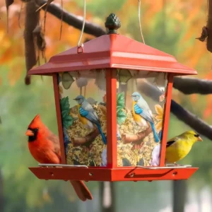 Lantern-Style Seed Feeder with Bird Illustrations