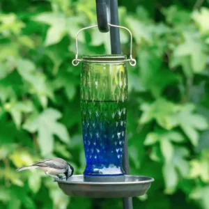 Textured Glass Bird Waterer with Basin Base
