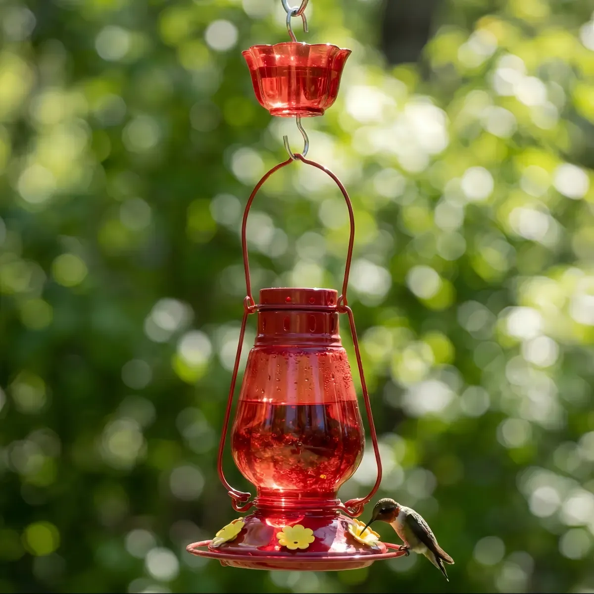 Lantern-Frame Glass Nectar Feeder