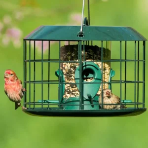 Wide Round-Cage Tube Bird Feeder