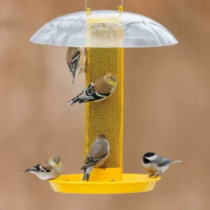Domed Mesh Finch Feeder with Lower Seed Tray