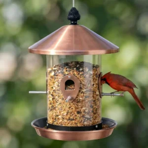 Clear Reservoir Bird Feeder with Conical Roof