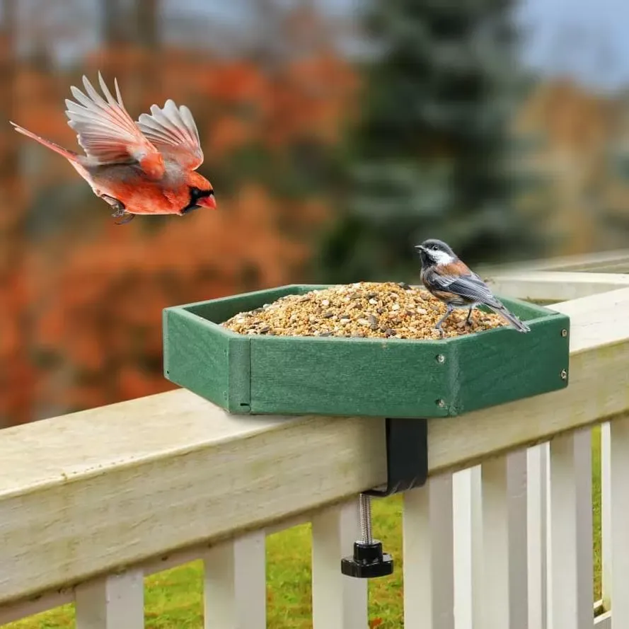 Clamp-Mounted Polygon Seed Tray
