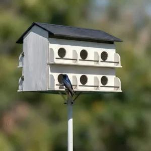 Multi-Entrance Colony Bird House