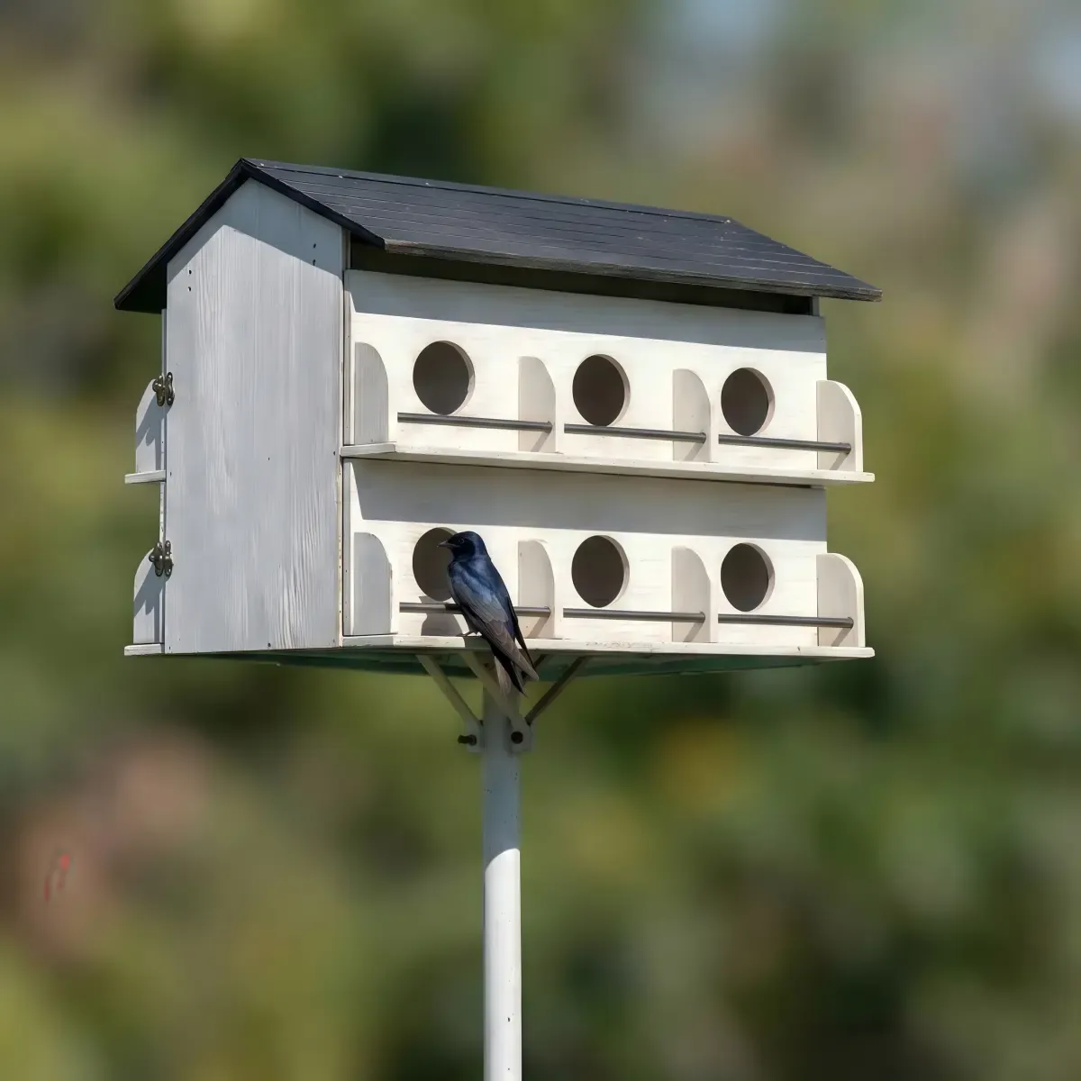 Multi-Entrance Colony Bird House