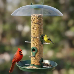 Clear-Dome Tube Feeder with Round Seed Tray – product image 1