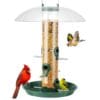 Clear-Dome Tube Feeder with Round Seed Tray – product image 2